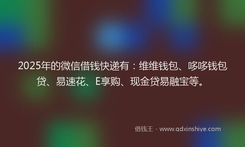 2025年的微信借钱快递有：维维钱包、哆哆钱包贷、易速花、E享购、现金贷易融宝等。