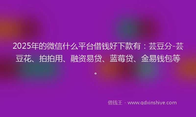 2025年的微信什么平台借钱好下款有：芸豆分-芸豆花、拍拍用、融资易贷、蓝莓贷、金易钱包等。