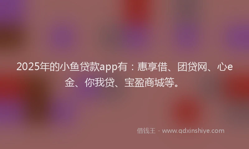 2025年的小鱼贷款app有：惠享借、团贷网、心e金、你我贷、宝盈商城等。