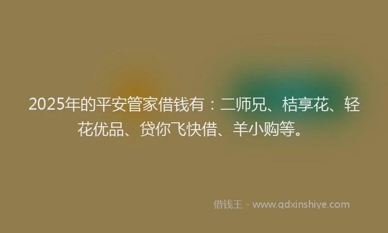 2025年的平安管家借钱有：二师兄、桔享花、轻花优品、贷你飞快借、羊小购等。
