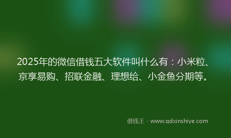 2025年的微信借钱五大软件叫什么有：小米粒、京享易购、招联金融、理想给、小金鱼分期等。