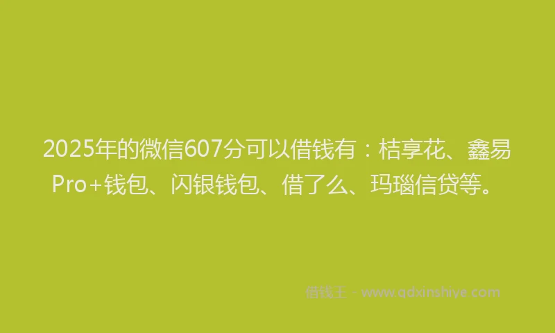 2025年的微信607分可以借钱有：桔享花、鑫易Pro+钱包、闪银钱包、借了么、玛瑙信贷等。