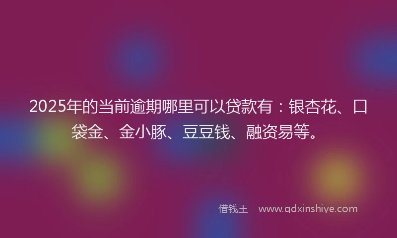2025年的当前逾期哪里可以贷款有：银杏花、口袋金、金小豚、豆豆钱、融资易等。