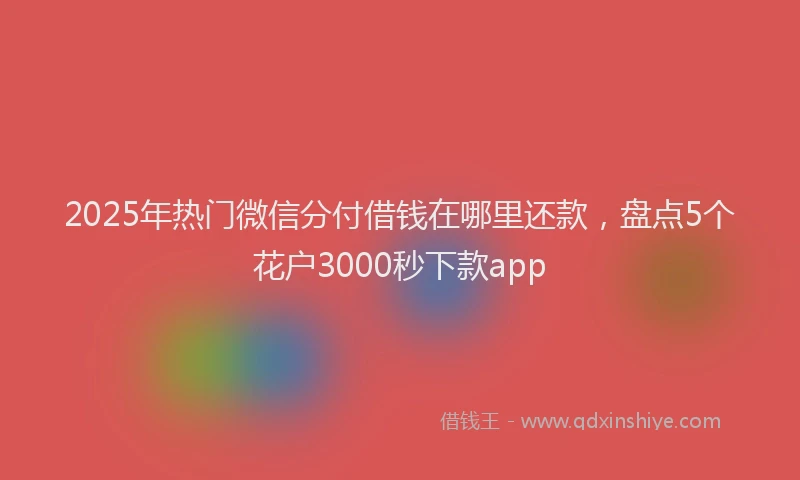 2025年热门微信分付借钱在哪里还款，盘点5个花户3000秒下款app