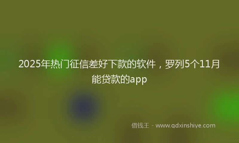 2025年热门征信差好下款的软件，罗列5个11月能贷款的app