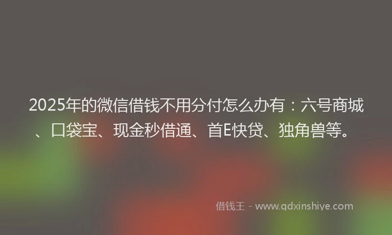 2025年的微信借钱不用分付怎么办有：六号商城、口袋宝、现金秒借通、首E快贷、独角兽等。