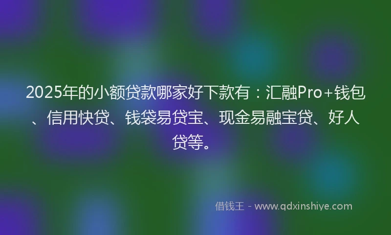 2025年的小额贷款哪家好下款有：汇融Pro+钱包、信用快贷、钱袋易贷宝、现金易融宝贷、好人贷等。