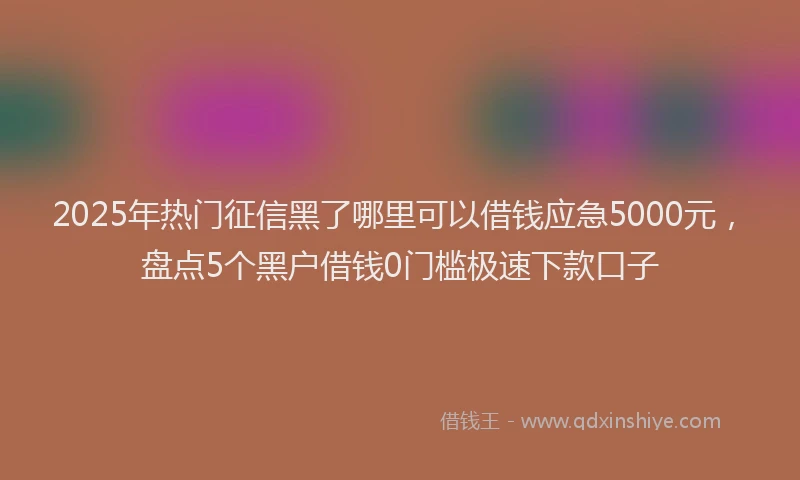 2025年热门征信黑了哪里可以借钱应急5000元，盘点5个黑户借钱0门槛极速下款口子