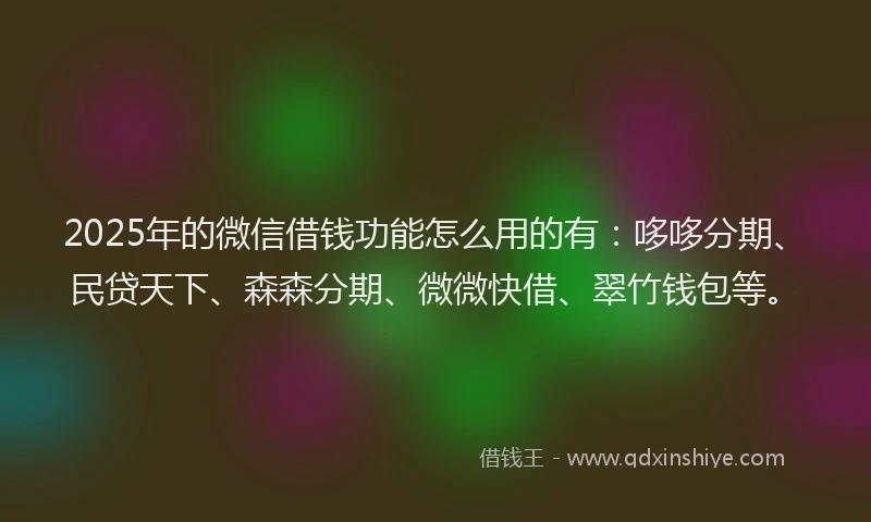 2025年的微信借钱功能怎么用的有：哆哆分期、民贷天下、森森分期、微微快借、翠竹钱包等。