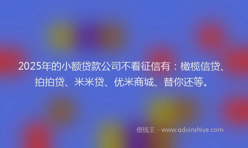 2025年的小额贷款公司不看征信有：橄榄信贷、拍拍贷、米米贷、优米商城、替你还等。