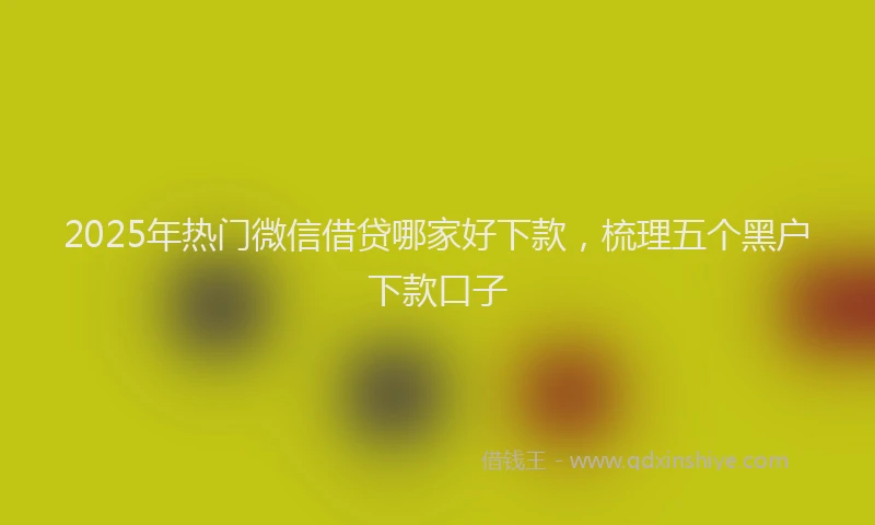 2025年热门微信借贷哪家好下款，梳理五个黑户下款口子
