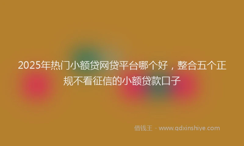 2025年热门小额贷网贷平台哪个好，整合五个正规不看征信的小额贷款口子