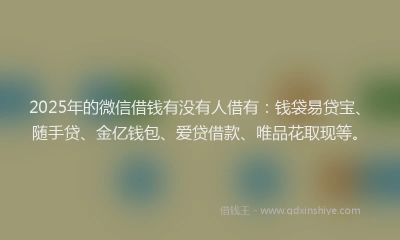 2025年的微信借钱有没有人借有：钱袋易贷宝、随手贷、金亿钱包、爱贷借款、唯品花取现等。