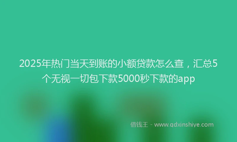 2025年热门当天到账的小额贷款怎么查，汇总5个无视一切包下款5000秒下款的app