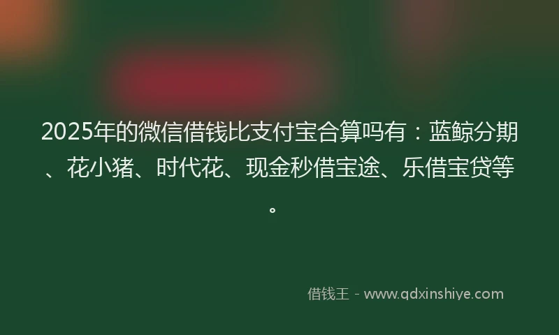 2025年的微信借钱比支付宝合算吗有：蓝鲸分期、花小猪、时代花、现金秒借宝途、乐借宝贷等。