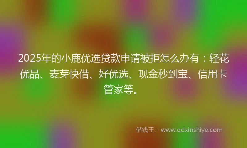 2025年的小鹿优选贷款申请被拒怎么办有：轻花优品、麦芽快借、好优选、现金秒到宝、信用卡管家等。