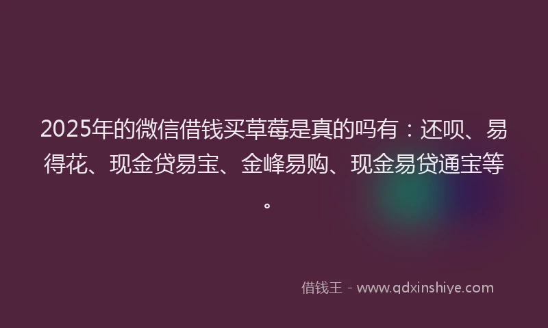 2025年的微信借钱买草莓是真的吗有：还呗、易得花、现金贷易宝、金峰易购、现金易贷通宝等。