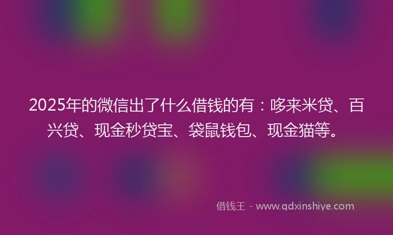 2025年的微信出了什么借钱的有：哆来米贷、百兴贷、现金秒贷宝、袋鼠钱包、现金猫等。