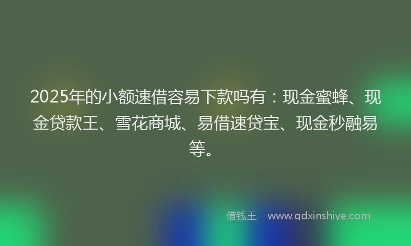2025年的小额速借容易下款吗有：现金蜜蜂、现金贷款王、雪花商城、易借速贷宝、现金秒融易等。