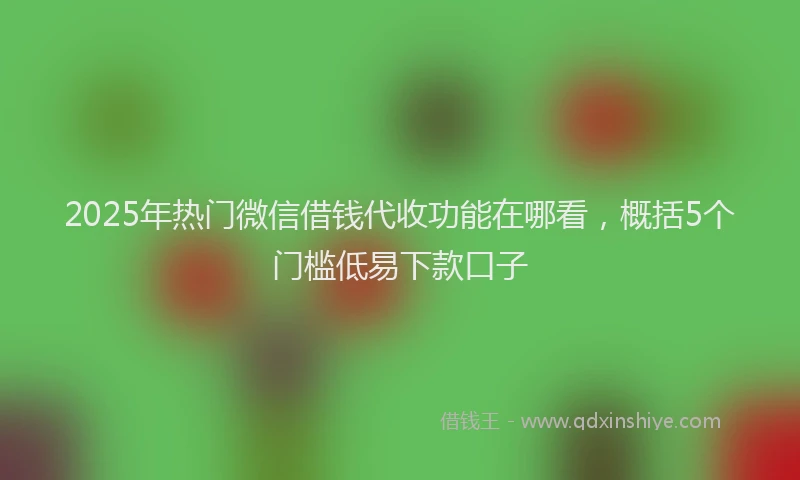 2025年热门微信借钱代收功能在哪看，概括5个门槛低易下款口子