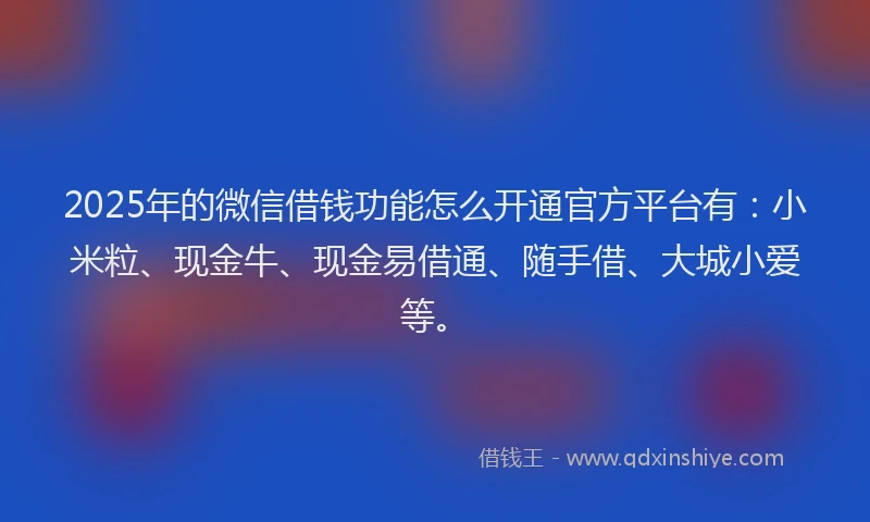 2025年的微信借钱功能怎么开通官方平台有：小米粒、现金牛、现金易借通、随手借、大城小爱等。