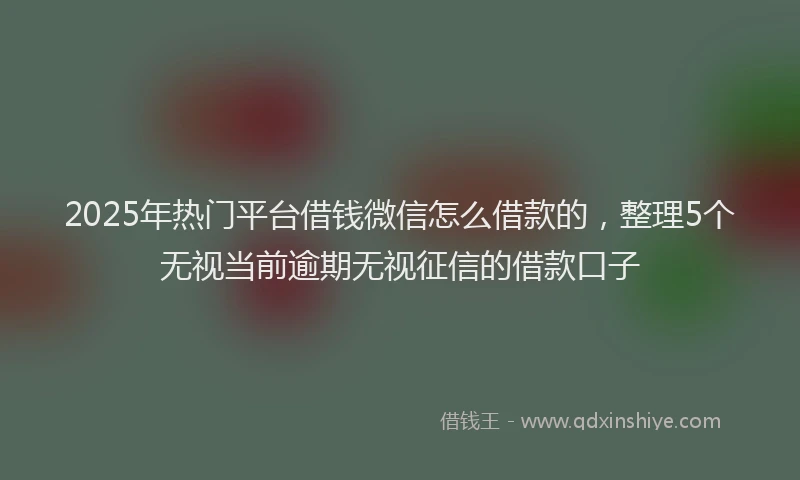 2025年热门平台借钱微信怎么借款的，整理5个无视当前逾期无视征信的借款口子