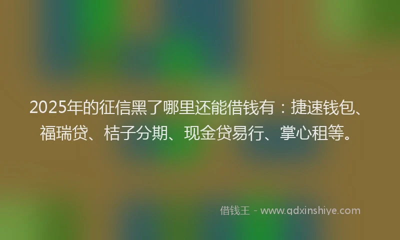 2025年的征信黑了哪里还能借钱有：捷速钱包、福瑞贷、桔子分期、现金贷易行、掌心租等。