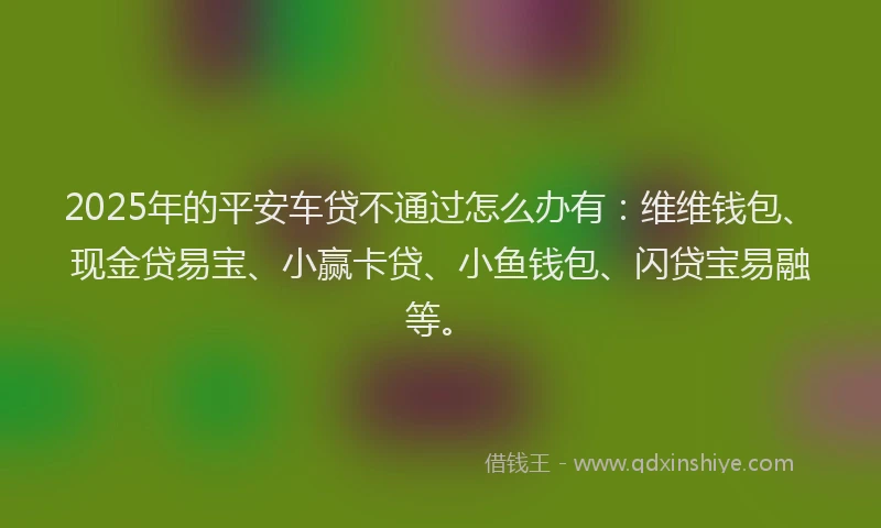 2025年的平安车贷不通过怎么办有：维维钱包、现金贷易宝、小赢卡贷、小鱼钱包、闪贷宝易融等。
