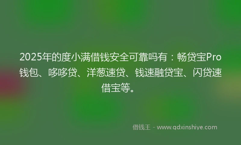 2025年的度小满借钱安全可靠吗有：畅贷宝Pro钱包、哆哆贷、洋葱速贷、钱速融贷宝、闪贷速借宝等。