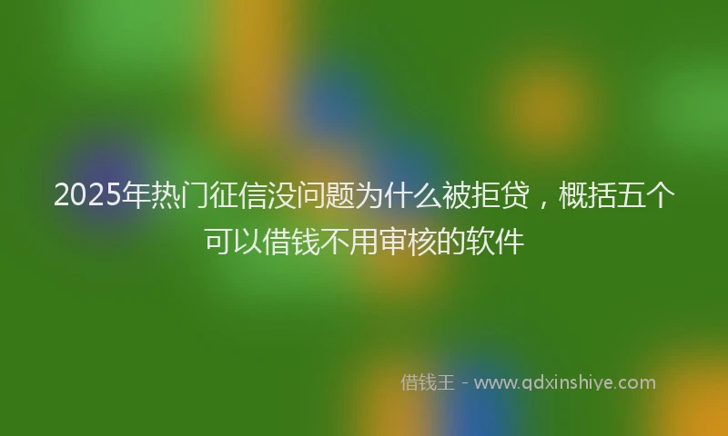 2025年热门征信没问题为什么被拒贷,概括五个可以借钱不用审核的软件