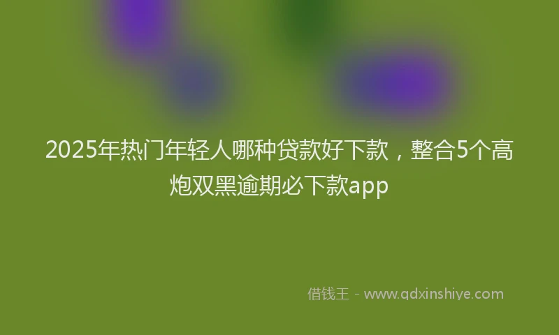 2025年热门年轻人哪种贷款好下款，整合5个高炮双黑逾期必下款app