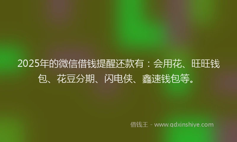 2025年的微信借钱提醒还款有：会用花、旺旺钱包、花豆分期、闪电侠、鑫速钱包等。