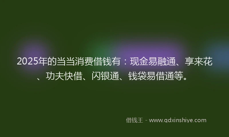 2025年的当当消费借钱有：现金易融通、享来花、功夫快借、闪银通、钱袋易借通等。