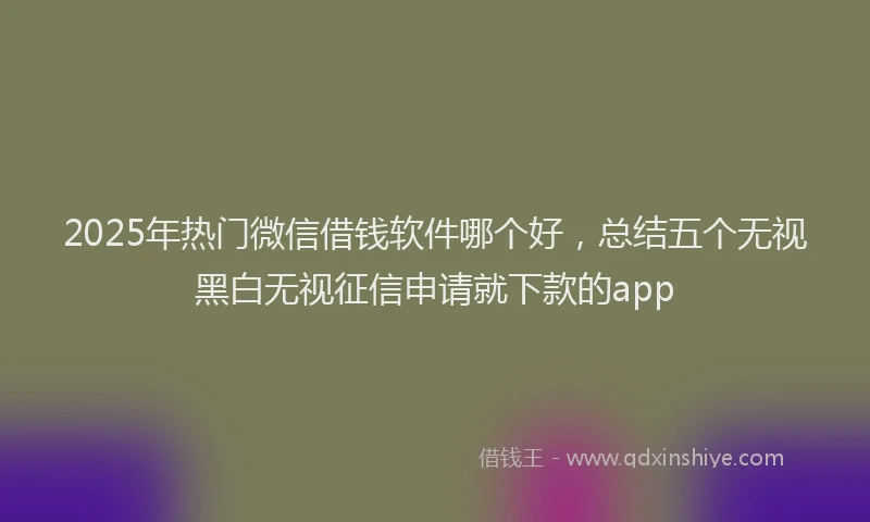 2025年热门微信借钱软件哪个好，总结五个无视黑白无视征信申请就下款的app
