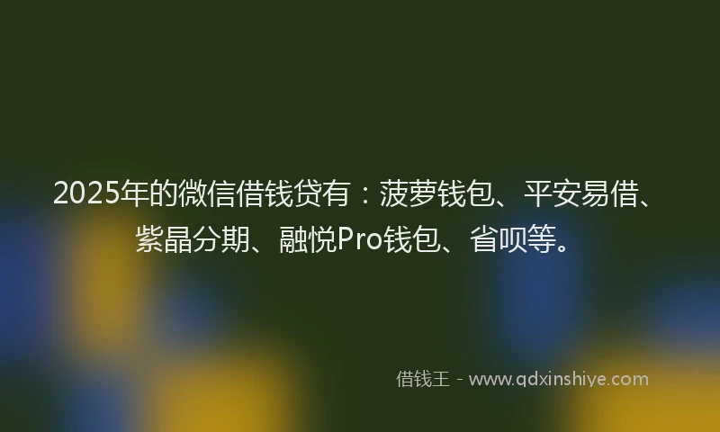 2025年的微信借钱贷有：菠萝钱包、平安易借、紫晶分期、融悦Pro钱包、省呗等。
