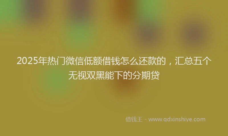 2025年热门微信低额借钱怎么还款的，汇总五个无视双黑能下的分期贷