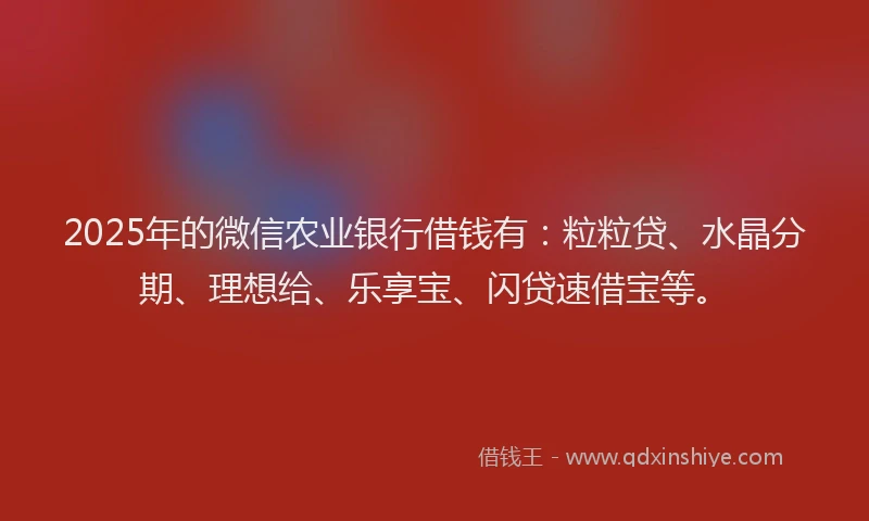 2025年的微信农业银行借钱有：粒粒贷、水晶分期、理想给、乐享宝、闪贷速借宝等。