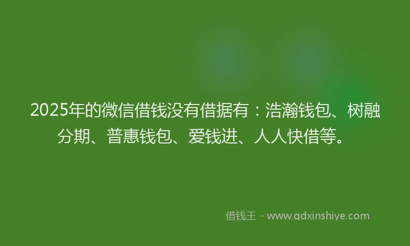 2025年的微信借钱没有借据有：浩瀚钱包、树融分期、普惠钱包、爱钱进、人人快借等。