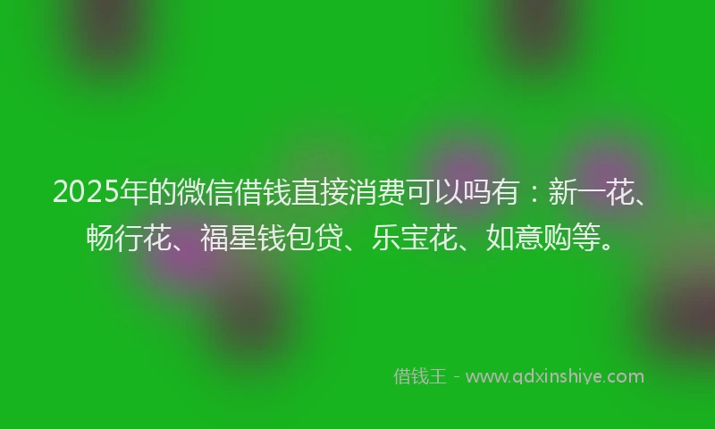 2025年的微信借钱直接消费可以吗有：新一花、畅行花、福星钱包贷、乐宝花、如意购等。