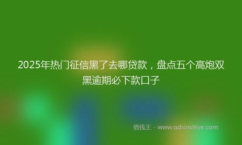 2025年热门征信黑了去哪贷款，盘点五个高炮双黑逾期必下款口子