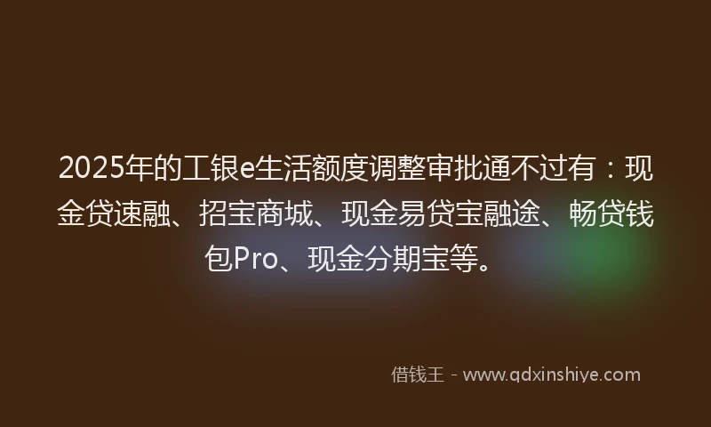 2025年的工银e生活额度调整审批通不过有：现金贷速融、招宝商城、现金易贷宝融途、畅贷钱包Pro、现金分期宝等。