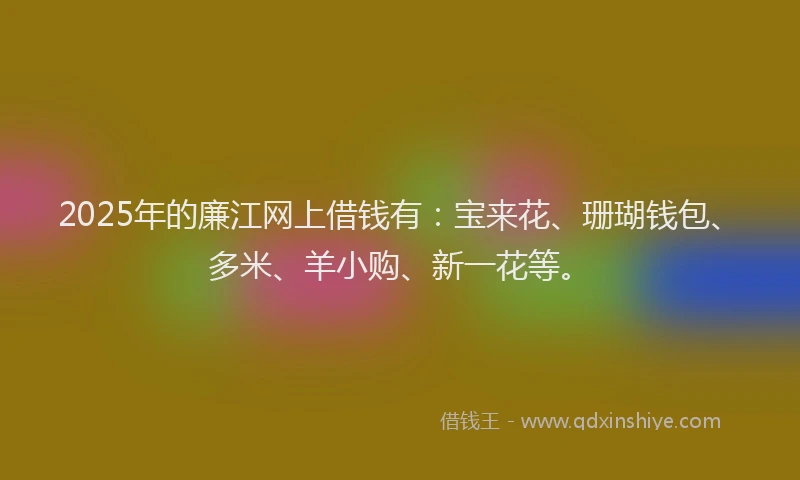 2025年的廉江网上借钱有：宝来花、珊瑚钱包、多米、羊小购、新一花等。