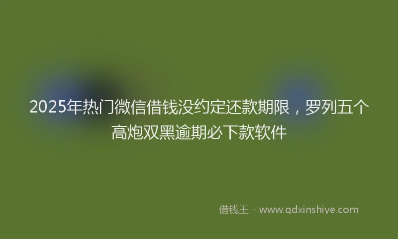 2025年热门微信借钱没约定还款期限，罗列五个高炮双黑逾期必下款软件