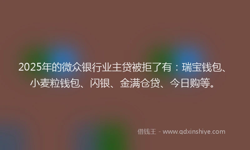 2025年的微众银行业主贷被拒了有：瑞宝钱包、小麦粒钱包、闪银、金满仓贷、今日购等。