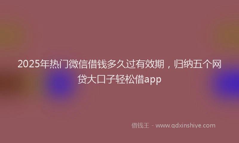 2025年热门微信借钱多久过有效期，归纳五个网贷大口子轻松借app