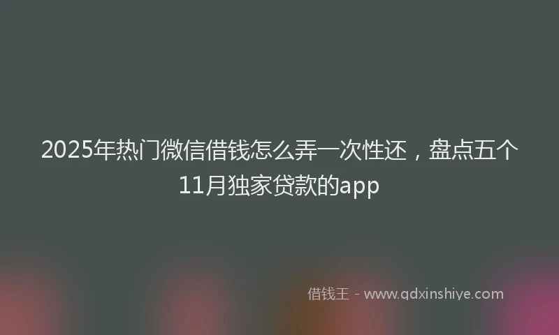 2025年热门微信借钱怎么弄一次性还，盘点五个11月独家贷款的app