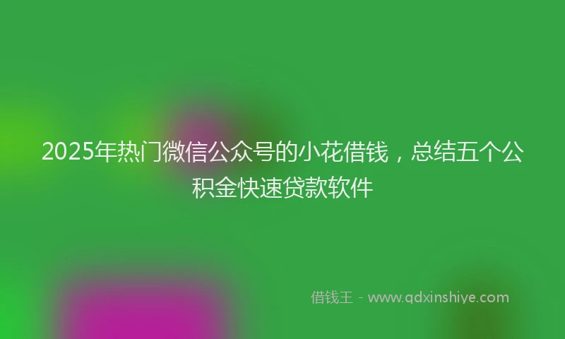 2025年热门微信公众号的小花借钱，总结五个公积金快速贷款软件