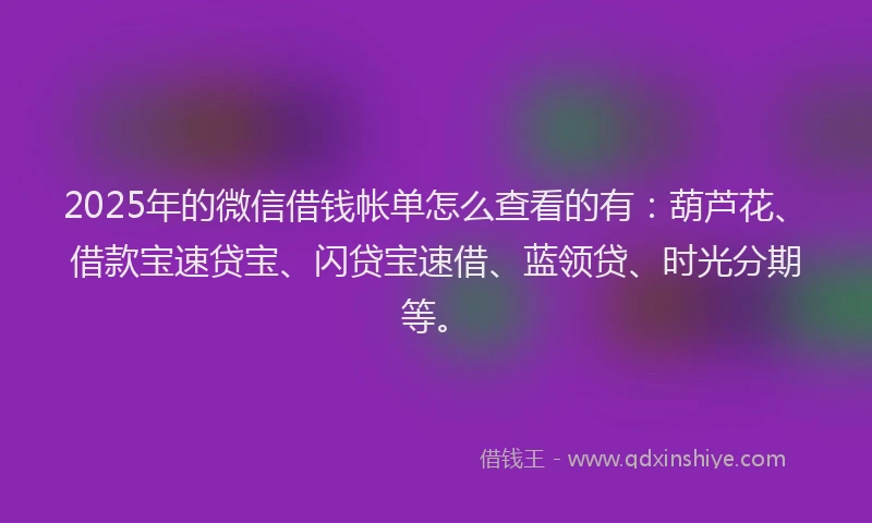 2025年的微信借钱帐单怎么查看的有：葫芦花、借款宝速贷宝、闪贷宝速借、蓝领贷、时光分期等。