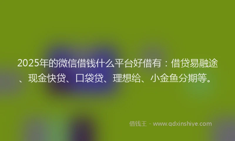 2025年的微信借钱什么平台好借有：借贷易融途、现金快贷、口袋贷、理想给、小金鱼分期等。