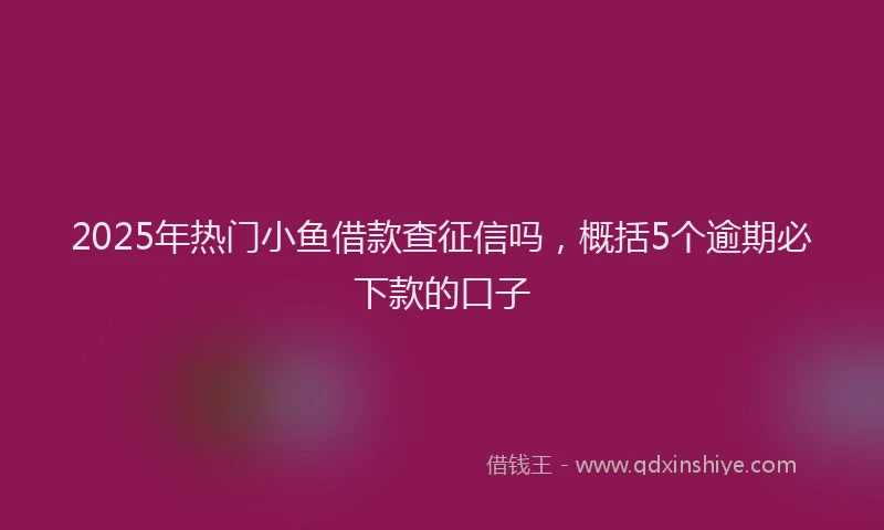 2025年热门小鱼借款查征信吗，概括5个逾期必下款的口子